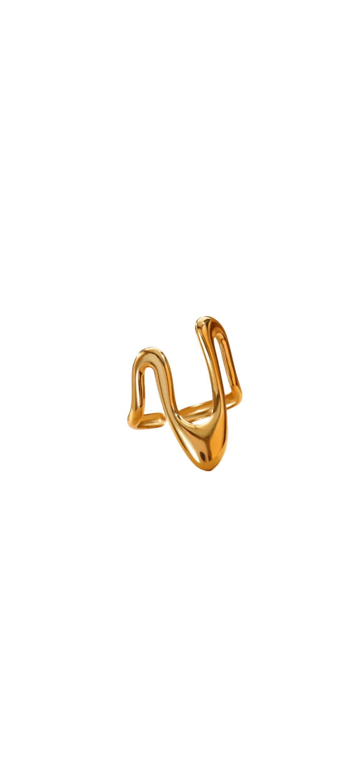 Anillo