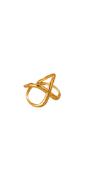 Anillo