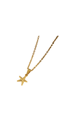 Cadena estrella