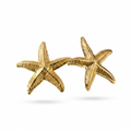 Aretes estrella