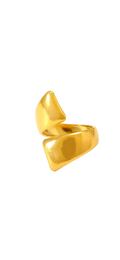 Anillo