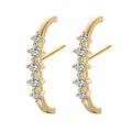 Aretes piercing